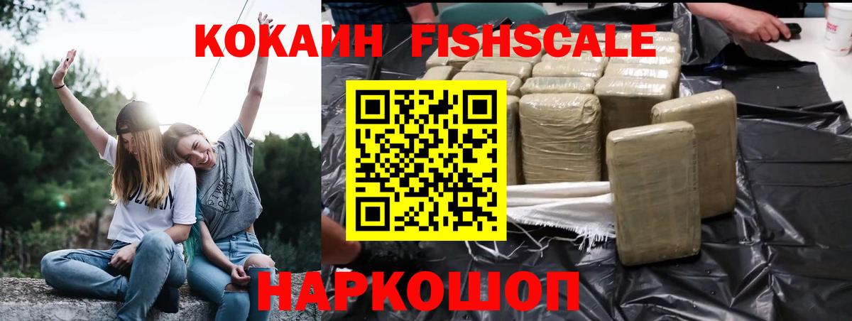 Cocaine Fish Scale  COCAIN  Самара  Вход с VPN 