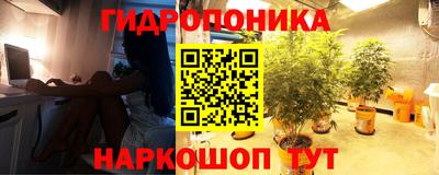 трава Пенза