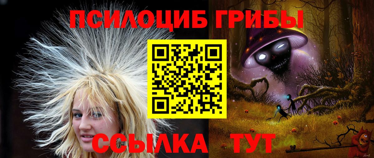 Самара  Галлюциногенные грибы MAGIC MUSHROOMS  Вход с VPN 