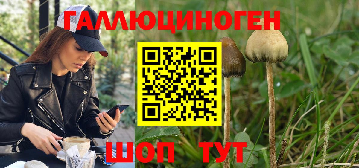 Псилоцибиновые грибы Magic Shrooms Самара